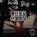 충남 태안의 낙원, 몽산포 오션캠핑장 방문 후기