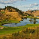 럭셔리명품 이미지