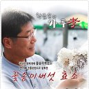 현미농장 이미지