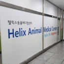 헬릭스동물메디컬센터 이미지