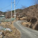 수정카인테리어 | 울산 중구 유곡동 신상 카페 루미에르 내돈내산솔직후기