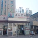 원조회관 | 수원 유치회관 본점 해장국 후기｜원조 본점, 왜 유명한지 알겠더라