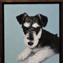 꿈꾸는 공간 이미지