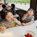 영아농장 이미지