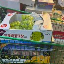 분당농산