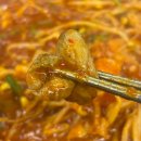 더진성 | 용인 수지구청맛집 해물찜 아구찜 전문 노작진성아구찜 가족외식 후기
