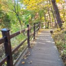 무수3세천 | 3시간 코스, 식장산 등산 원점회귀 코스 후기 (세천유원지 주차장 - 세천저수지 - 식장산 정상...
