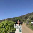 씨타운다이어리 | [제주도 모녀여행] Day 1 :: 함덕해수욕장, 서우봉, 창꼼바위, 오드랑베이커리, 씨타운다이어리