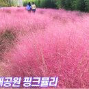 대저생태공원 캠핑장 이미지