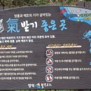 산호장여관 | 바다는 울고 있다