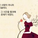 청춘풍선 이미지