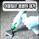 크린보이 이미지