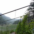 민가농장 이미지