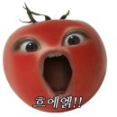 가배당 네이버블로그