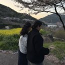 삼이네 펜션 | [DAY1] 남해 1박 2일 코스 추천 (직접 다녀온 찐 후기)