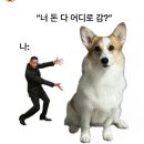 하남펫택시 | [숀숀스 일상] 레이 중고차 구매, 맥도날드 키링, 애견펜션