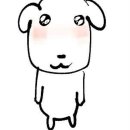 바다향 이미지