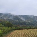 태산방제 이미지