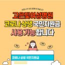 고은빛여성병원 이미지