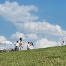 태백산목장 이미지