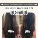 논현1-110 | 강남 신논현미용실 어몽헤어 1:1 맞춤 클리닉 후기 두피클리닉 추천