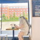 이옷 이미지