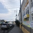 서귀포초등학교 병설유치원 이미지