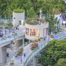 산책하다 이미지