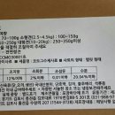 오도그 이미지