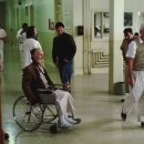 뻐꾸기둥지 이미지