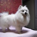 보미모텔 이미지