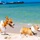 인천 프린스 관광호텔 이미지