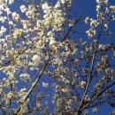 천마산농장 이미지