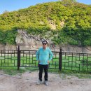 울주 대곡리 반구대 암각화 이미지