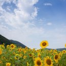 보령-웅천-145 이미지