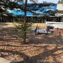 세진휘트니스 | [대전 수영장] 충남대 CNU 스포렉스 | 새로 오픈한 충남대 수영장 추천, 자유수영 후기, 주차