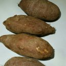 산직농장 | [대성농산물 산직직송] 호박고구마 농장직거래 구입후기, 고구마의효능