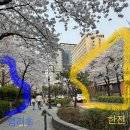 공덕119안전센터 | [마포 공덕] 벚꽃시즌 포장마차 :: 마포 포차거리