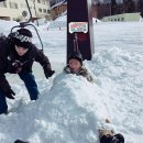 우지 카카오 검색결과