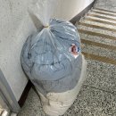푸른세탁 | 크린토피아 패딩 드라이클리닝 비대면 앱으로 신청한 세탁후기