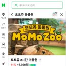 서광리-24 | 모모쥬동물원 ㅣ 제주 신화월드 카피바라 체험 내돈내산 후기🦫