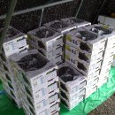 토리농장 이미지