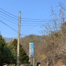 오송송어장