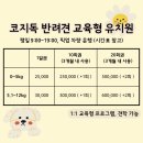 코지독하우스 이미지