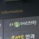 더숲 에스테틱 이미지