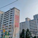 목화 연합뉴스