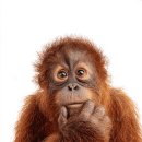 동기부여짐 이미지