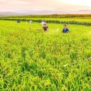 성내농장 이미지