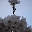 연지공원1 이미지