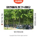 부산 근교 아이랑 가볼만한 양산 황산공원 무료 캠핑장 캠크닉존